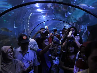 Pengunjung melihat ikan dalam air di Sea World, Ancol, Jakarta, Kamis (7/7). Wahana Sea World masih menjadi tempat favorit warga untuk mengisi waktu berlibur hari ke-2 Lebaran. (Liputan6.com/Johan Tallo)
