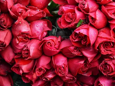 Bunga mawar terlihat di pasar bunga grosir di Kolkata, India (7/20). Jelang perayaan hari Valentine, bunga mawar banyak diburu dari tanggal 7 Februari dengan ditandai dengan Rose Day. (AFP Photo/Dibyangshu Sarkar)