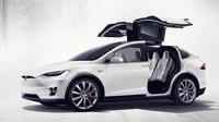 CEO Tesla Motors secara tidak sengaja mengumumkan akan memproduksi crossover listrik entry-level bernama Model Y. 