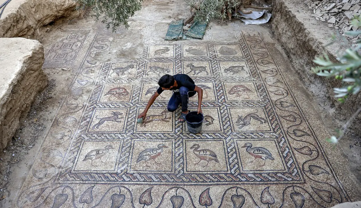 Putra petani Palestina Salman al-Nabahin membersihkan mosaik era Bizantium yang ditemukan di Bureij, Jalur Gaza, Palestina, 18 September 2022. "Ini adalah lantai mosaik terindah yang ditemukan di Gaza, baik dari segi kualitas representasi grafis maupun kompleksitas geometrinya," kata Arkeolog René Elter. (MOHAMMED ABED/AFP)