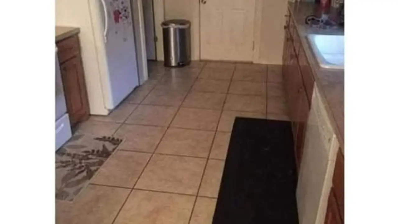 Tantangan Tes Penglihatan, Temukan Anjing yang Tersembunyi di Dapur Ini