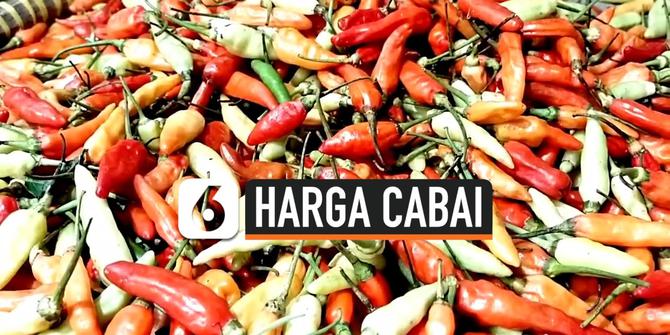 VIDEO: Harga Cabai di Tangsel Tembus Rp 115 Ribu per Kilogram