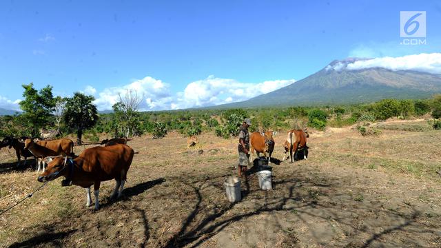 Pasca-Erupsi, Warga Tetap Beraktivitas di Kaki Gunung Agung