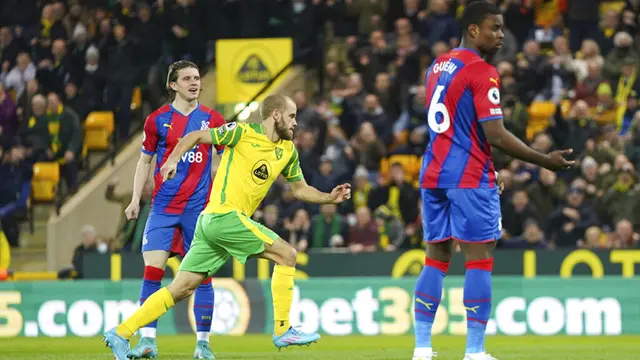 FOTO: Norwich City Ditahan Imbang Crystal Palace