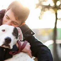 (Sumber. barkpost.com)