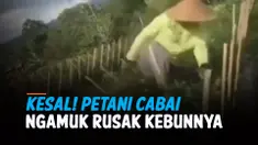 THUMBNAIL PETANI