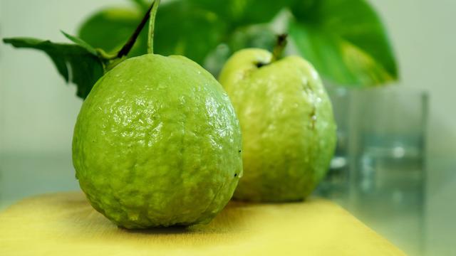 Ilustrasi jambu biji