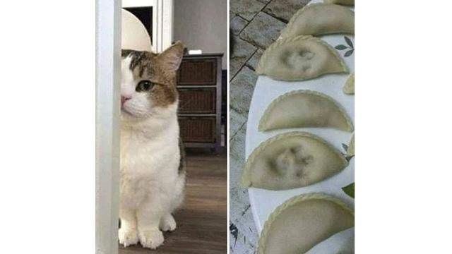 6 Momen Apes Saat Memasak Ini Bikin Tepuk Jidat