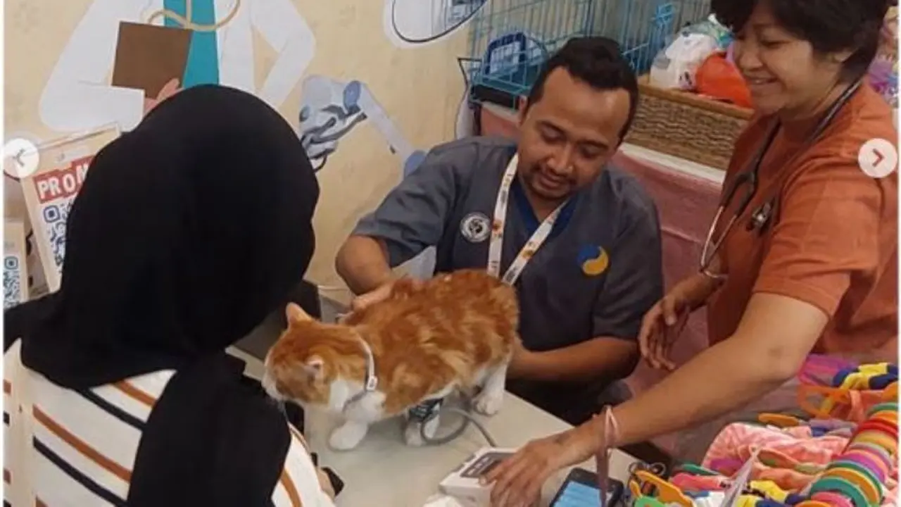 Layanan Kesehatan Hewan yang Lebih Ramah di Kantong
