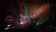 Titik Api di Taman Nasional Babul Bermunculan
