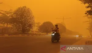 Cerita Warga Palangka Raya Berkendara di Tengah Asap Pekat Kebakaran