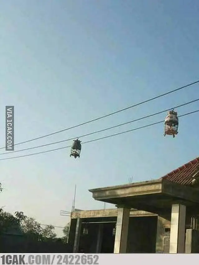 6 Posisi Benda di Kabel Listrik Ini Bikin Bingung Cara Naruhnya, Nyeleneh