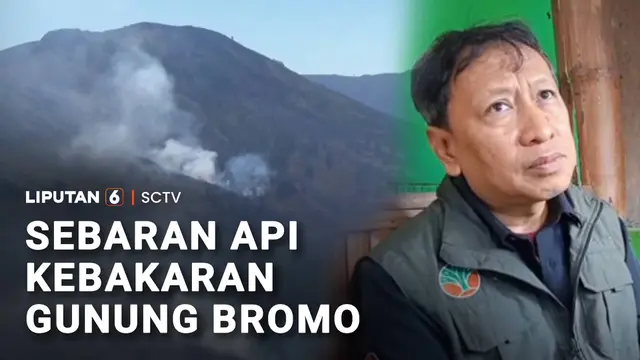 Kebakaran Jemplang Imbas Api Gunung Bromo Berangsur Padam, Petugas Tetap Siaga