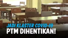 THUMBNAIL CORONA