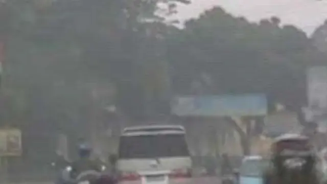 [VIDEO] Untuk Kelapa Sawit, Bakar Lahan Pekanbaru Disengaja