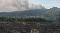 Gunung Dukono di wilayah Kabupaten Halmahera Utara, Maluku Utara, 28 April 2025. (Dok. Badan Geologi).