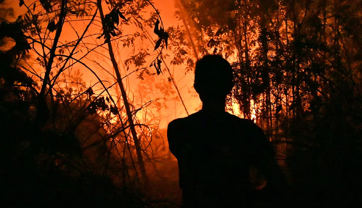 Petugas pemadam kebakaran memadamkan api saat kebakaran hutan dan lahan (karhutla) di Pekanbaru, Riau, Jumat (13/9/2019). Karhutla menyebabkan kualitas udara pada level berbahaya. (ADEK BERRY/AFP)