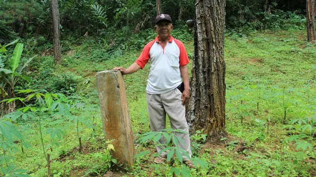 Seorang warga memperlihatkan patok peninggalan Belanda batas tanah Perhutani dengan tanah warga yang kini diklaim semuanya oleh Perhutani. (Foto: Liputan6.com/Muhamad Ridlo).
