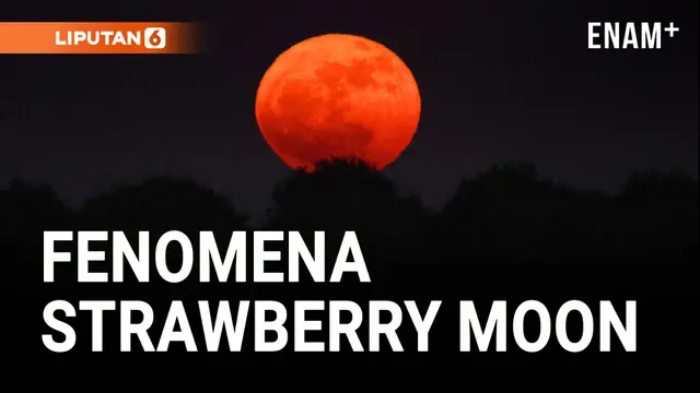 VIDEO: Strawberry Moon, Hiasi Langit dan Pukau Pengamat Bintang di Belahan Utara