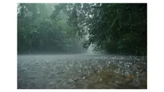Anda yang bertempat tinggal di Jakarta, Bogor, Depok, Tangerang, Bekasi (Jabodetabek) dan merencanakan ke luar rumah atau pulang kerja, ada baiknya menyiapkan payung atau jas hujan. Informasi yang dilansir Badan Meteorologi, Klimatologi, dan Geofisika (BM