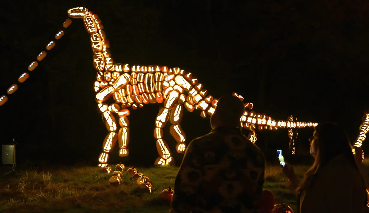 Labu yang diukir dengan bentuk patung dinosaurus dipajang selama "The Great Jack O'Lantern Blaze" di Croton-on-Hudson, New York menjelang Halloween pada 25 Oktober 2023. (ANGELA WEISS / AFP)