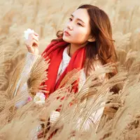 ilustrasi/copyright pixabay.com/Huweijie07170