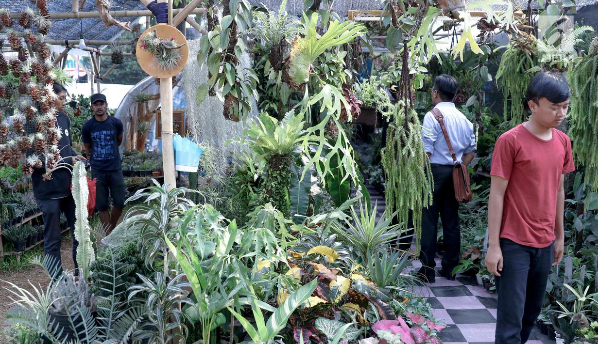 Pengunjung melihat-lihat tanaman yang dijual dalam pameran Flora dan Fauna 2018 di Taman Lapangan Banteng, Jakarta, Selasa (21/7). Pameran berlangsung mulai 10 Agustus hingga 10 September 2018. (Liputan6.com/Immanuel Antonius)