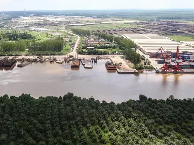 Suasana kapal tongkang saat bersandar di Pelabuhan PT. Indah Kiat Pulp and Paper,  Kabupaten Siak, Riau, (18/07). Kapal tongkang hanya bisa masuk dan bersandar dengan ketinggian maksimal 17 meter dari permukaan laut. (Liputan6.com/Fery Pradolo)