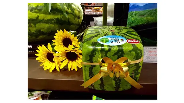 Deretan Buah yang Harganya Fantastis, Ada yang Capai Rp 682 Juta