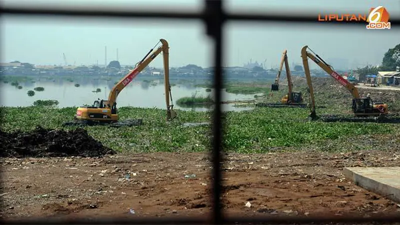 Anggaran Alat Belum Ada, Eceng Gondok di Waduk Pluit Tumbuh Subur