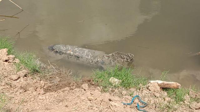 Pemancing Blora temukan benda mirip rudal kuno di pinggiran Sungai Bengawan Solo. (Foto: Liputan6.com/Istimewa)