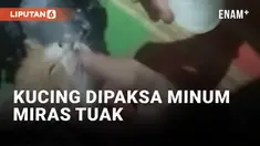 Miris, Kucing Dipaksa Minum Miras Tuak