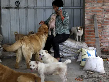 Yang Xiaoyun bersama sejumlah anjing di tempat penampungan yang dikelolanya di Tianjin, China, Rabu (8/7). Yang Xiaoyun dikabarkan telah mengeluarkan uang sebesar 48.248 USD untuk menyelamatkan 500 anjing dari toko daging anjing. (REUTERS/Kim Kyung-Hoon)