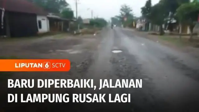 Baru diperbaiki, sejumlah bagian jalan yang rencananya akan dilalui rombongan Presiden Joko Widodo saat kunjungan kerja ke Lampung, kembali rusak. Diduga, jalan rusak akibat diguyur hujan saat kondisinya belum diaspal.