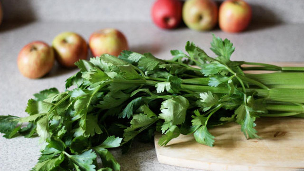 Camilan Seledri dipilih Liza Natalia Agar tetap Sehat