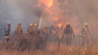 Petugas pemadam kebakaran beroperasi di lokasi kebakaran hutan di Pumarejo de Tera dekat Zamora, Spanyol, 18 Juni 2022. Petugas pemadam kebakaran terus berjuang melawan beberapa kebakaran di Spanyol, salah satunya menghancurkan hampir 20.000 hektare lahan, pada hari terakhir gelombang panas ekstrem yang menghancurkan negara itu dengan puncaknya mencapai 43 derajat. (CESAR MANSO/AFP)