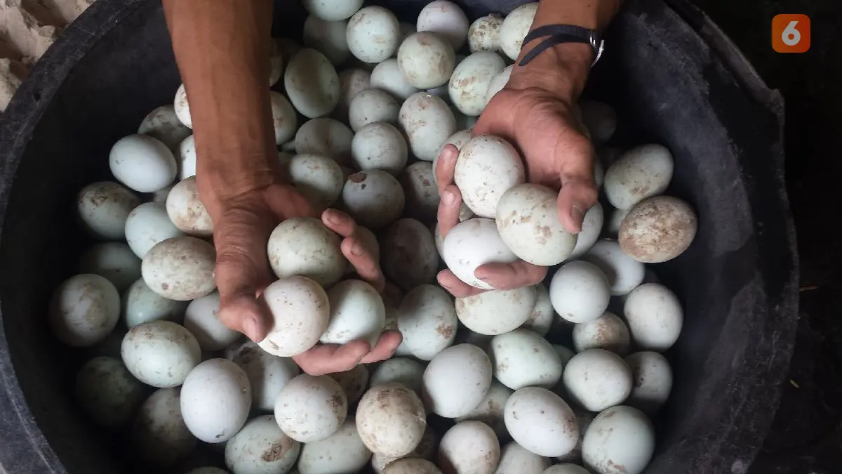 Berita Sakit Jantung Apa Boleh Makan Telur Asin Hari Ini - Kabar ...