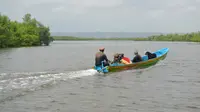 Sebuah perahu jukung melintas di kawasan mangrove, Laguna Segara Anakan, Cilacap, Jawa Tengah. Foto: Liputan6.com/Muhamad Ridlo)