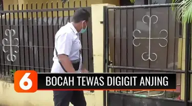 Bocah berusia 10 tahun di Medan, tewas setelah 2 hari sebelumnya digigit anjing peliharaan tetangganya. Diduga, korban terinfeksi rabies akibat gigitan anjing.