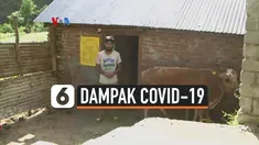 Dampak Covid