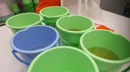 Seorang staf Eliminate Dengue Project (EDP) Yogyakarta memberikan makan nyamuk Wolbachia Pengendali alami DBD di Laboratorium EDP Yogyakarta, (16/6).  EDP mengembangbiakan nyamuk pengendali DBD alami.(Boy Harjanto)