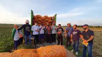 Menengok Program Korporasi Benih Jagung Tuban