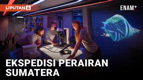 VIDEO: OceanX Pamerkan Temuan dari Misi Indonesia 2024