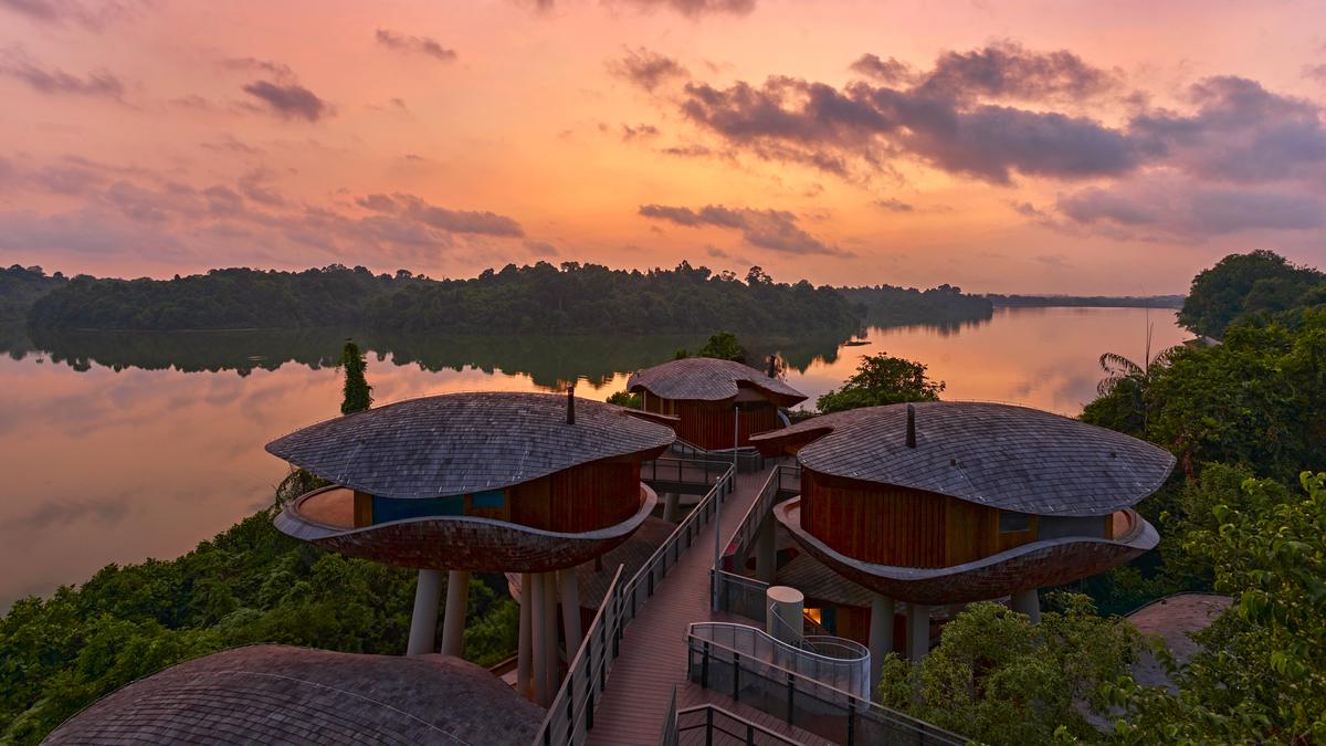 Resort Eksklusif di Cagar Alam Mandai Singapura Segera Dibuka April 2025, Tamu Dapat Akses Khusus Bertemu Hewan