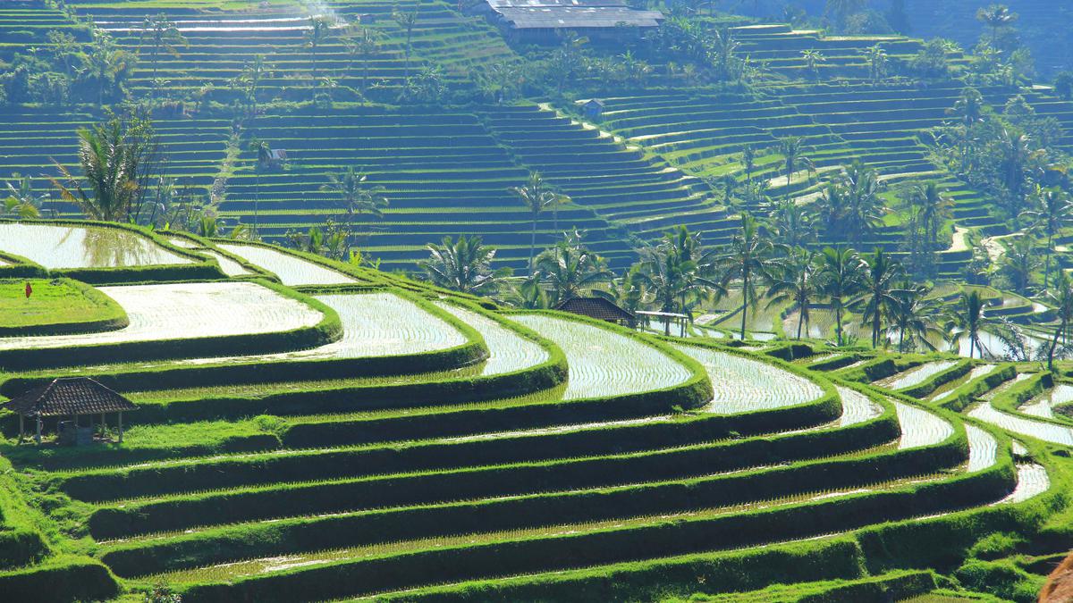 Munduk, Eloknya Bali yang Masih Tersembunyi