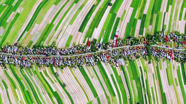 Kota Sułoszowa