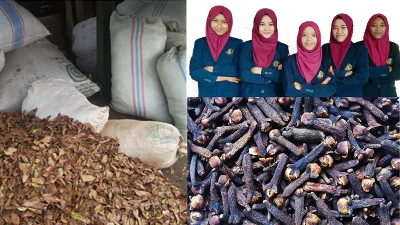 Mahasiswa UB Temukan Antioksidan Alami di Daun Cengkeh