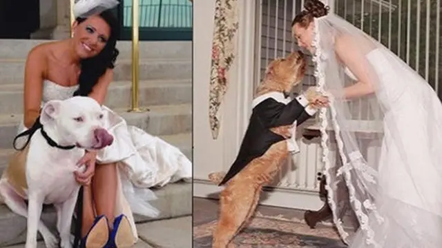 Foto: Copyright Wonderlist.com