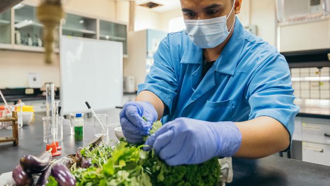 Raih Penghargaan, Mahasiswa Ini Ubah Limbah Sayur dan Buah Jadi Panel Surya - Vimarsana News