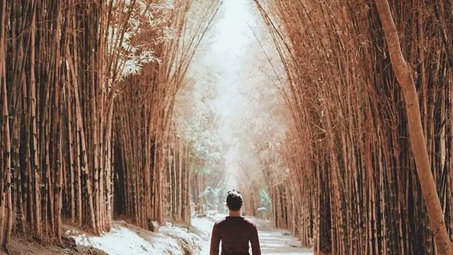 6 Rekomendasi Wisata Hits di Surabaya untuk Libur Akhir Tahun